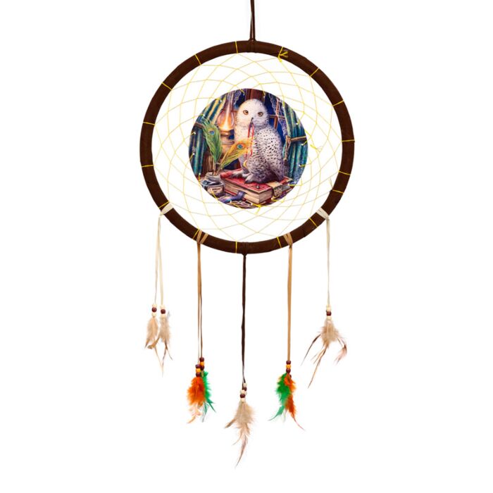 Lisa Parker Guardian Of Spells Owl Dreamcatcher 33cm