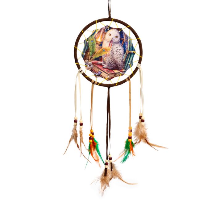 Lisa Parker Guardian of Spells Owl Dreamcatcher 16cm
