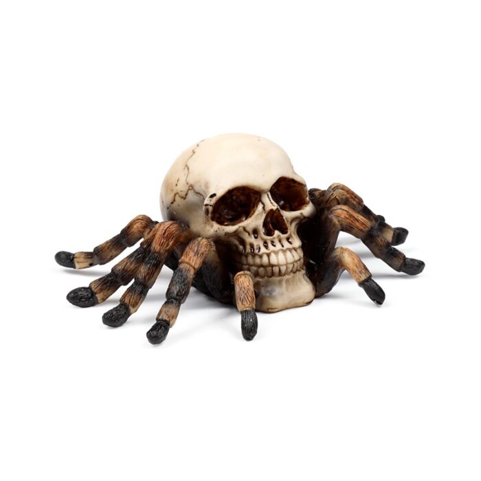 Skull with Spider Legs