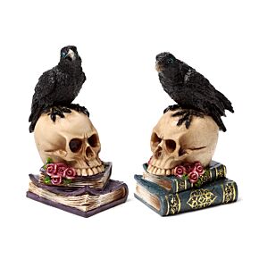 Crow Perched on Skull & Books Crow Perched on Skull & Books