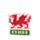 Vanilla Welsh Dragon Wales (Cymru) Air Freshener