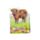 Jan Pashley Highland Coo Cow Magnetic Bookmark Set