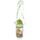 450ml Children's Water Bottle Zooniverse