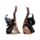 Witches Magical Black Cat with Broomstick