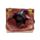 Witches Magical Black Cat Mischievous Spell Book