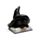 Witches Magical Black Cats Learning Spells