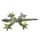 Frill Neck Lizard Small Sand Animal
