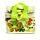 RPET Cool Bag Lunch Bag Tropical Frogs
