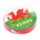 Welsh Dragon Wales (Cymru) Compressed Travel Towel