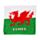 Welsh Dragon Wales (Cymru) Compressed Travel Towel