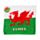 Welsh Dragon Wales (Cymru) Compressed Travel Towel