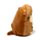 Squidglys Adoramals Henry the Otter Plush Toy