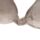 Relaxeazzz Pusheen the Cat Plush Memory Foam Travel Pillow