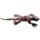 Frill Neck Lizard Large Sand Animal