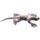 Frill Neck Lizard Large Sand Animal