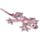 Salamander Medium Sand Animal