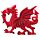 Welsh Dragon Magnet
