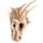 Large Dragon Skull Decoration