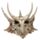 Dragon Skull Decoration