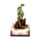 Dark Legends LED Enchanted Fairytale Castle Earth Dragon