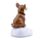 Corgi Solar Pal