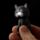 Cat LED Keyring with Meowing Sound