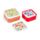 Set of 3 Lunch Box M/L/XL Tulips