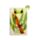 Tropical Frogs Pocket Mirror in Sleeve