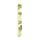 Tropical Frogs Nail File