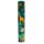 Animal Kingdom Large Pencil Pot with 12 Colouring Pencils