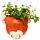 Ceramic Highland Coo Cow Head Wall Planter/Plant Pot