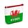 Welsh Dragon Wales (Cymru) Souvenir PVC Purse