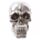 Gruesome Small Skull Decorations