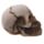 Gruesome Skull with Red Gem Eyes Decoration