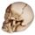 Set of 3 Small See No, Hear No, Speak No Evil Skulls