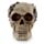 Steampunk Style Skull with Cogs & Gears