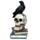 Crow Standing on Skull & Books Ornament