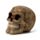 Intricate Damask Skull
