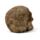 Intricate Damask Skull