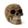 Intricate Damask Skull