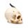 Shadows of Darkness Black Dragon in Skull Small
