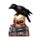 Crow Perched on LED Skull & Books