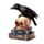 Crow Perched on LED Skull & Books