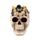 Skull with Spider
