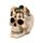 Skull with Spider