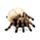 Skull with Spider Legs