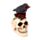 Skull with Raven & Red Roses