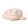 White Wolf Ceramic Salt & Pepper Set