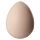 Chicken Hatching Egg