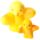 Chicken Hatching Egg